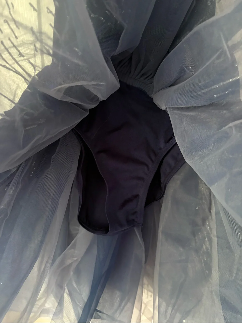 Weissman halter degas
